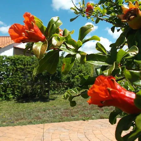 Casa rural Esmeralda *
